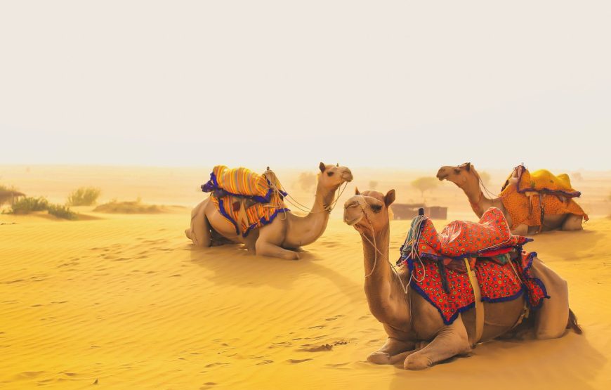 Jaisalmer Tour Package (2 Nights 3 Days)